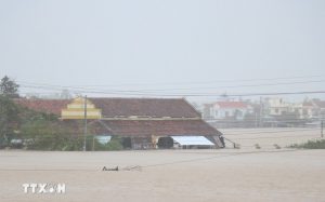 VNREA kêu gọi ủng hộ đồng bào miền Trung, Tây Nguyên bị thiệt hại do mưa lũ缩略图
